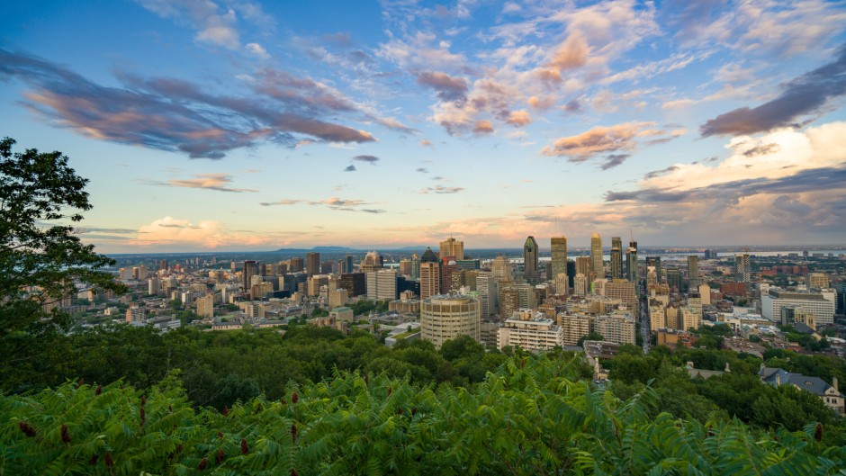 WSOP Montreal: The Ultimate Player Guide WSOP Montreal: The Ultimate Player Guide