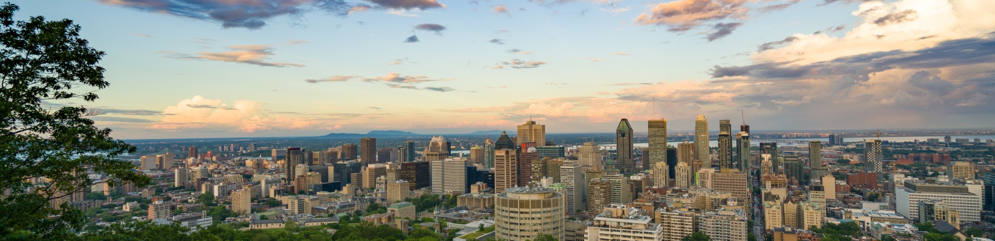WSOP Montreal: The Ultimate Player Guide WSOP Montreal: The Ultimate Player Guide